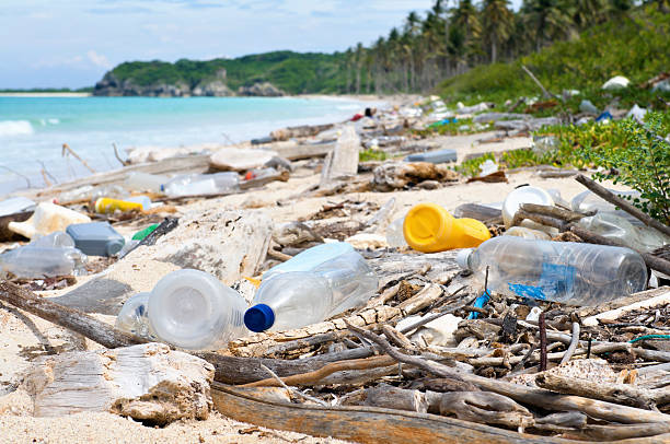 Beach Clean Up