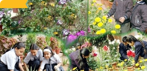 Build Native Nurseries