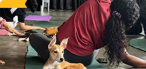 Yoga with Puppies